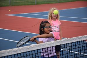 Pickleball Courts Martinsville