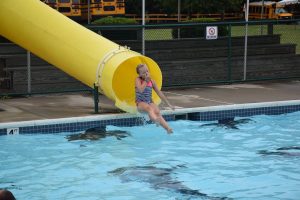 Summer Swimming Lessons Piscataway